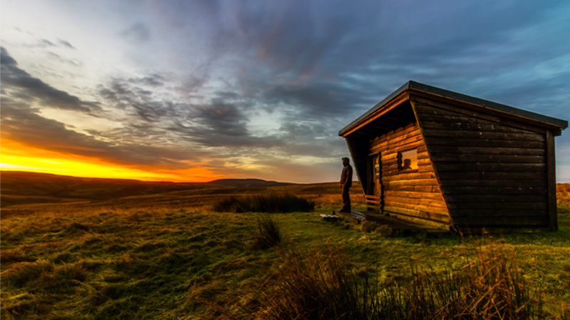 Tiny House & Paysage